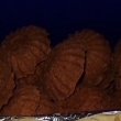 2014